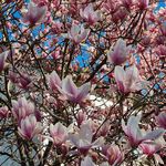 Annette Müller - @annette.mueller2020 - Instagram