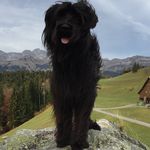 Annette Schmidt - @annette.mueller.357 - Instagram