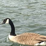 Annette Needham - @needham_annette - Instagram