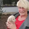annetteortmann899 - @annetteortmann899 - TikTok