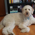 Annette Phelps - @aphelps60 - Instagram