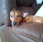 Annette Postell - Facebook