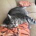 Annette Raymond - Facebook