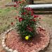 Annette Rucker - Facebook