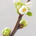 Annette Schell-Schmidt - Facebook