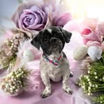 Annette Saunders - @anneabelle1965 - Instagram