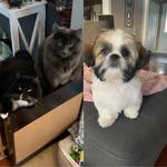 Annette Saunders - @annette_saunders80 - Instagram