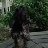 Annette Schoeneman - @annette.schoenema - TikTok