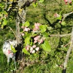 Annette Müller-Schöll - @ulam366 - Instagram