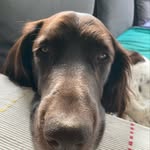 Annette Schroth - @schrothannette - Instagram
