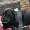 annetteschorch - @annetteschorch - TikTok