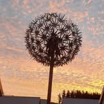Annette Scully - @scullywags - Instagram