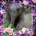 Annette Sewell - Facebook