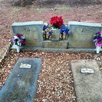 Annette Sewell - @annette.sewell.338 - Instagram
