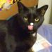 Annette Shaw - Facebook
