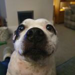 Annette Shaw - @annettea625 - Instagram