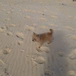 Annette Slade - @annetteslade2 - Instagram