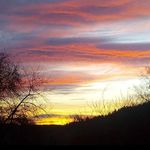 Annette Stark - @annettestark234 - Instagram