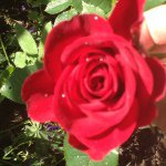 Annette Stark - @annette_stark - Instagram