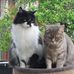 Annette Stein - Facebook