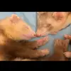 AnnetteTerrell - @annetteterrellzlwfnbfd - TikTok