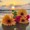 annettethatcher2 - @annette.thatcher - TikTok