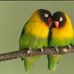 Annette Tinker - Facebook