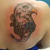 Annette Tinker 🦅 - @annettetinker - TikTok