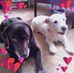 Annette Todd - Facebook