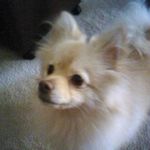 Annette Townsend - @annette.townsend.4484 - Instagram