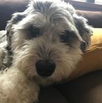 Annette Trapp - Facebook