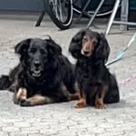 Annette Trapp - @nette210472 - Instagram