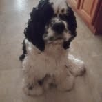 Annette Trask - Facebook