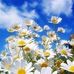Annette True-Hart - Facebook