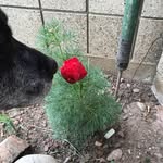 Annette Truebenbach - @annettetruebenbach - Instagram