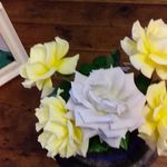 Annette Tuck - @tuck7609 - Instagram