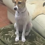 Annette Tyson - @annette_tyson22 - Instagram