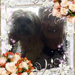 Annette Vance - @annette.vance.10 - Instagram