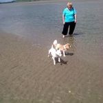 Annette Walsh - @annette.walsh.7979 - Instagram