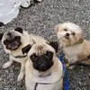 Annette walsh - @annette.walsh93 - TikTok