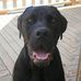 Annette Worth - Facebook