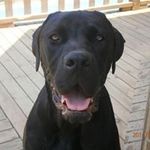 Annette Worth (Mills) - @annette.mills.583 - Instagram
