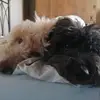 Annette Wright - @annette.wright2 - TikTok