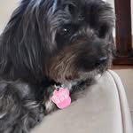 Annette Wright - @annettewright7978 - Instagram