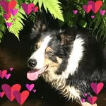 Annette Yates - @annetteyates431 - Instagram