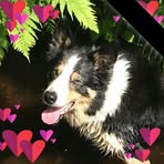 Annette Yates - Facebook