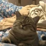 Anni Chu - @annichu1027 - Instagram