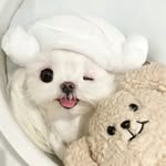 Annie - @anni_guo0307 - Instagram