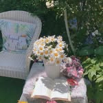 anni-jin - @annijin1 - Instagram