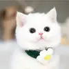 annijin6 - @annijin6 - TikTok